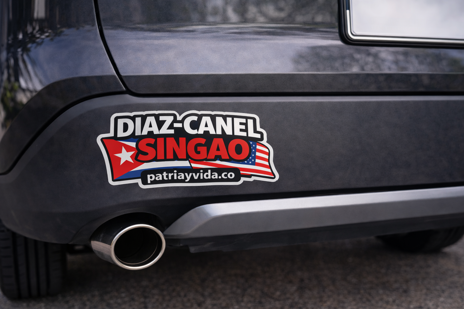 Diaz Canel Singao Vinyl Sticker Car / Laptop / Window