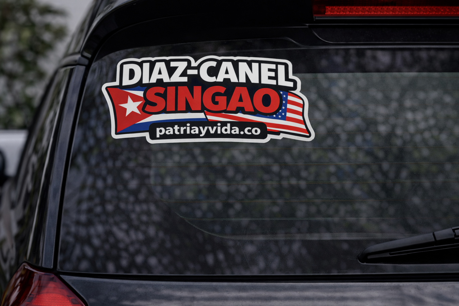Diaz Canel Singao Vinyl Sticker Car / Laptop / Window
