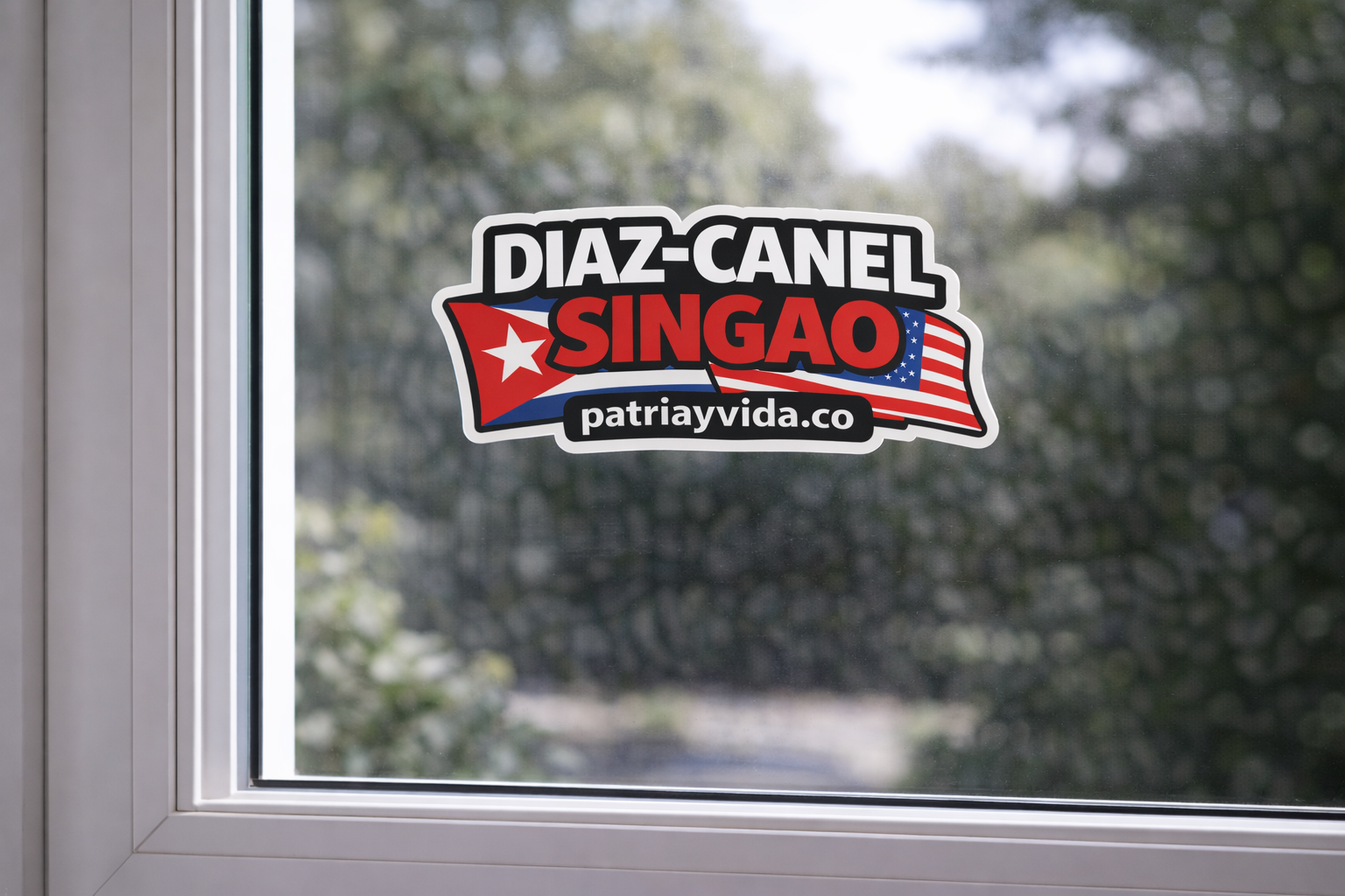 Diaz Canel Singao Vinyl Sticker Car / Laptop / Window
